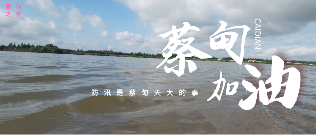 蔡甸區啟動(dòng)防汛ⅰ級應急響應，做好鋪土釘防汛木樁工作