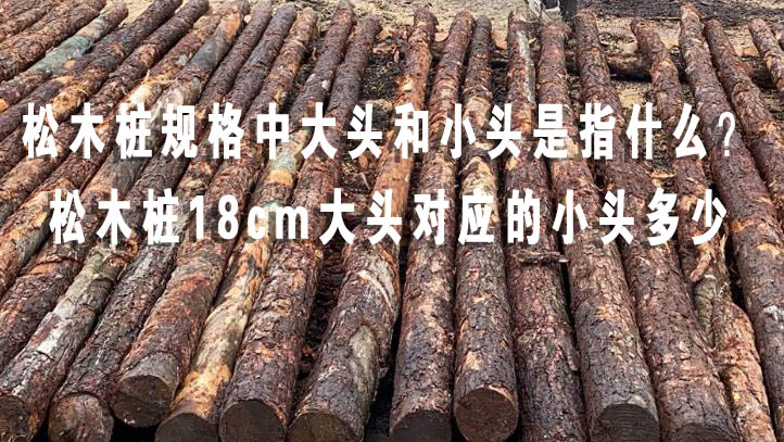松木樁規格中大頭和小頭是指什么？松木樁18cm大頭對應的小頭多少