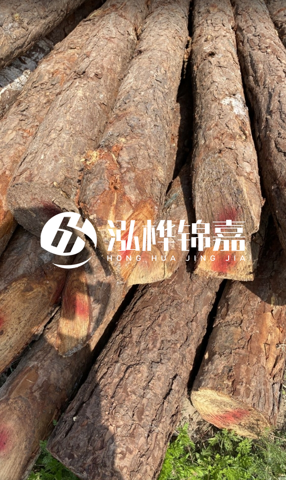 <strong>松木樁和杉木樁的用途區別？哪個(gè)更適合打樁用？</strong>
