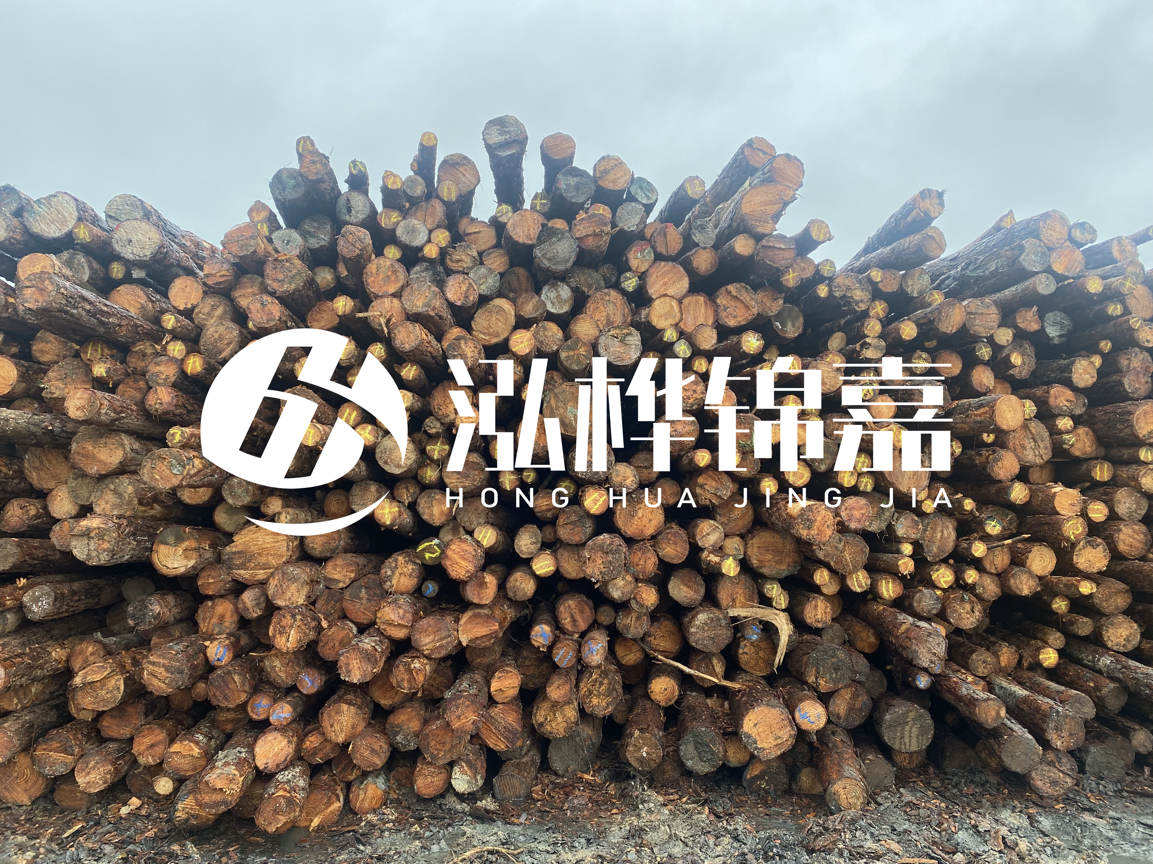 松木樁的直徑一般取多少？